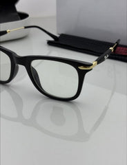 Ray ban Sunglass
